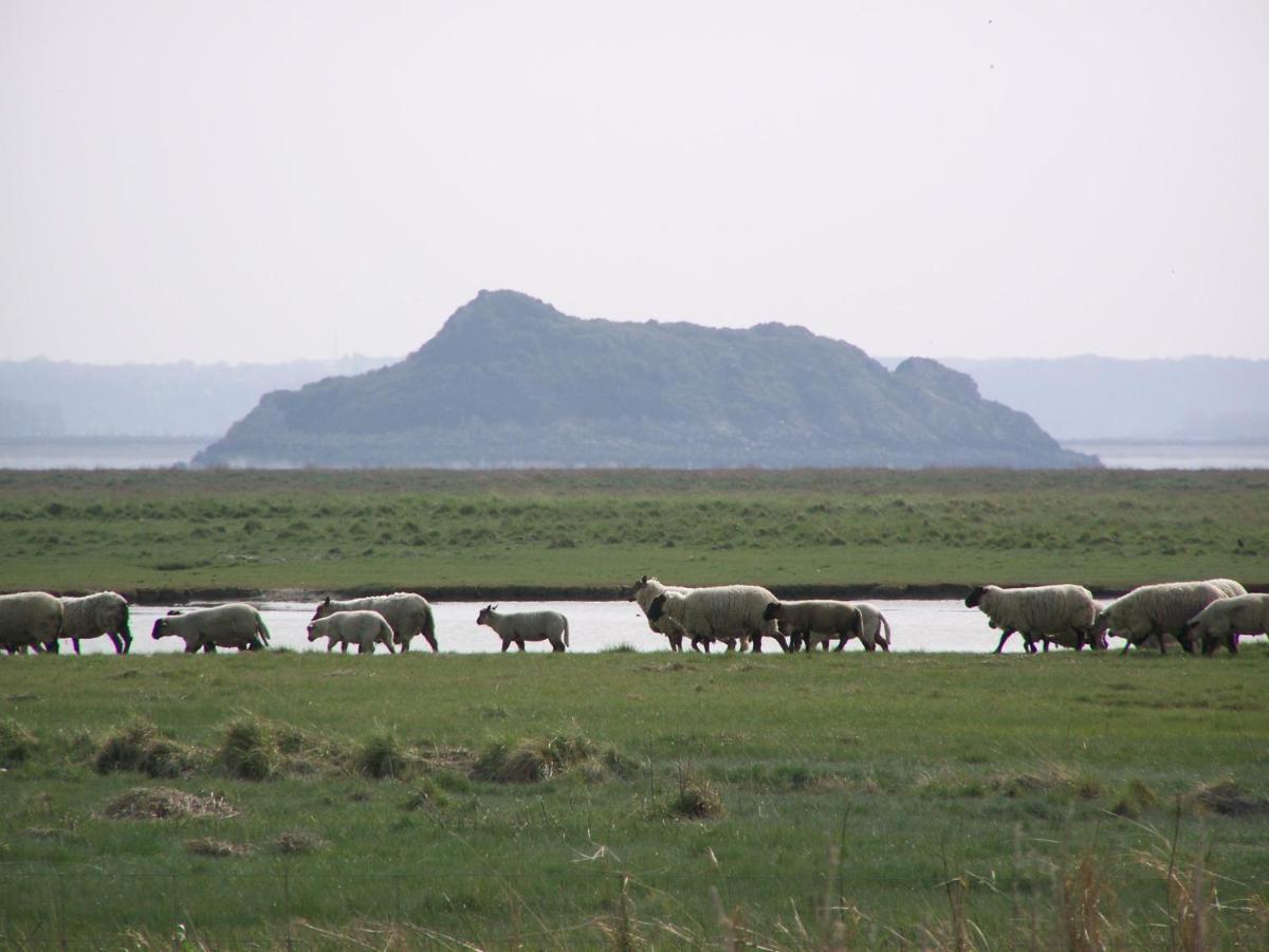 Charmante Maison De Pecheur En Baie Du Mont Saint Michel Genêts Exteriér fotografie