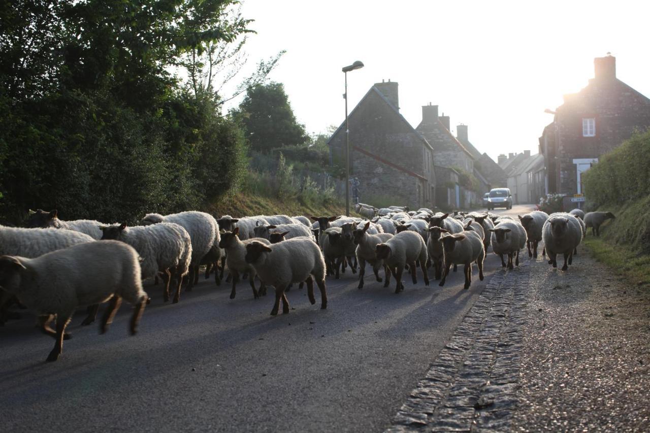 Charmante Maison De Pecheur En Baie Du Mont Saint Michel Genêts Exteriér fotografie